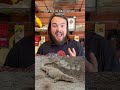 Imagine a Gila monster…the size of a raccoon! 🦝 #science #education #dinosaur #shorts #learning