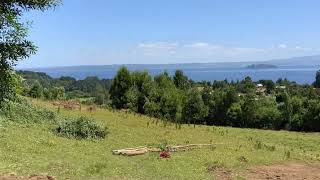 Parcelas Agrícola Lago Ranco @lagoranco @propiedades en Venta @