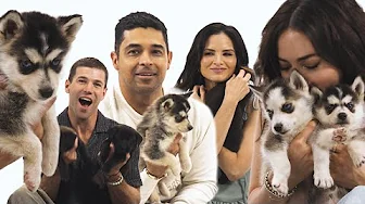 The NCIS Franchise Plays With Puppies // Presented by CBS Tuesday