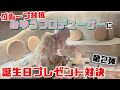 【バラエティ企画】グループ対抗!プロデューサーに誕生日プレゼント対決 / SAI²Rium
