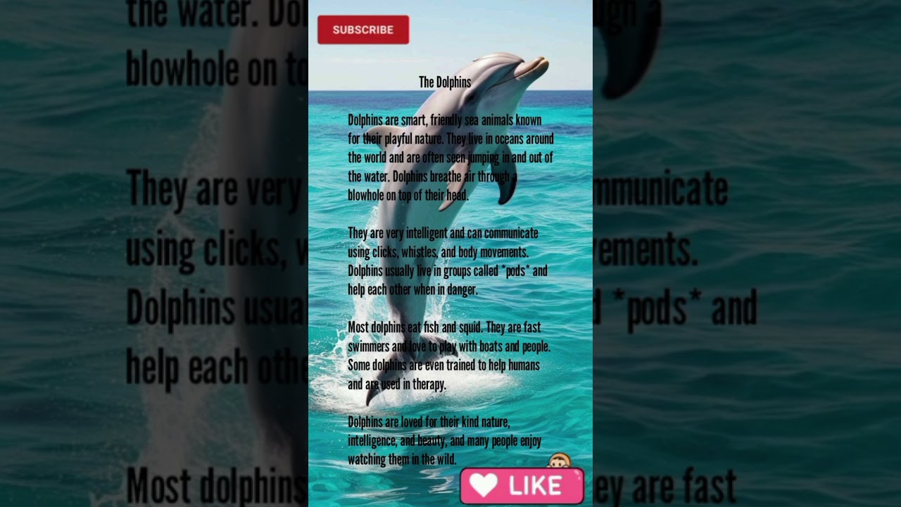 Short Story | about dolphins | learn english simple 