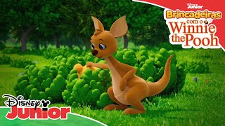 Brincadeiras Com O Winnie The Pooh | Kanga E O Jogo Das Escondidas