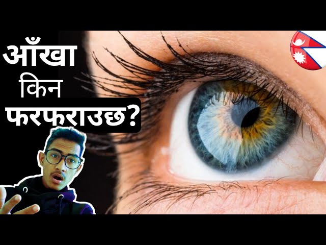 आँखा किन फरफराउछ? |Why Our Eye Twitches| Fact Nepal #shorts