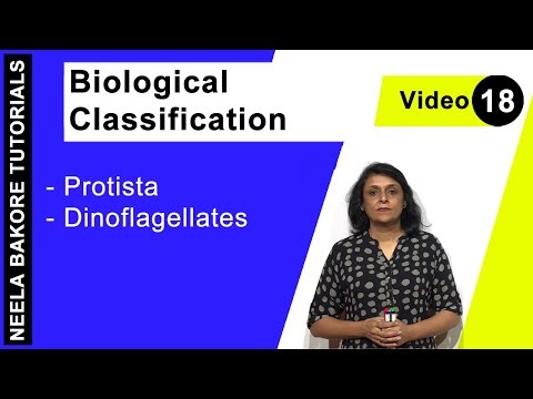 Biological Classification - Protista - Dinoflagellates