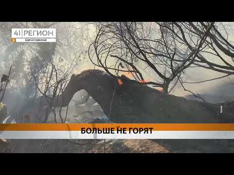 СЕЗОН ЛЕСНЫХ ПОЖАРОВ ЗАВЕРШИЛСЯ НА КАМЧАТКЕ • НОВОСТИ КАМЧАТКИ