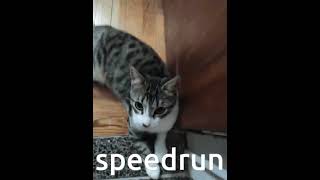 speedrun