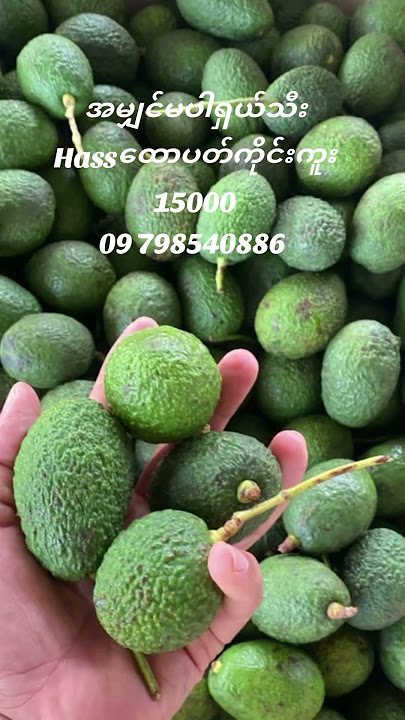 https://vt.tiktok.com/ZSBcVFqxU/