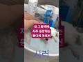 2026년 2월 10일