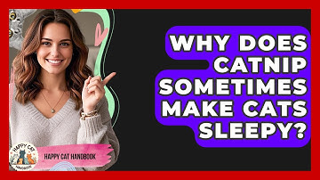 Why Does Catnip Sometimes Make Cats Sleepy? - Happy Cat Handbook