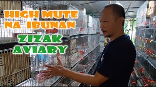 SILIPIN NATIN ANG IBUNAN NI ZIZAK AVIARY