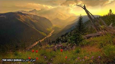 #سورة_الليل | القارئ محمد صلاح نافع #القران_الكريم #تلاوة #قران #القرآن #قرآن #quran