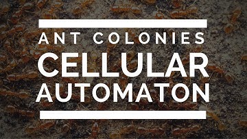 Cellular Automata and Ant Colonies