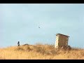 Complacencias - Ramón Amezcua ( Bostich - Nortec ) - 2001