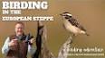 The Hidden Wonders of Bird Migration ile ilgili video
