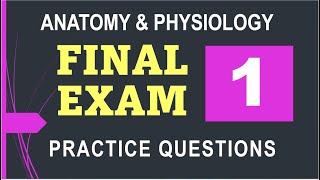 Anatomy & Physiology Final Exam Practice Questions Part 1