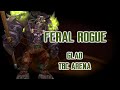 Classic TBC Arena - Feral Rogue 2k3+ rated #1