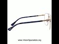 Persol PO2494V 1078 Eyeglasses Mens Black Full Rim Pillow Shape 5318140  Gold1141