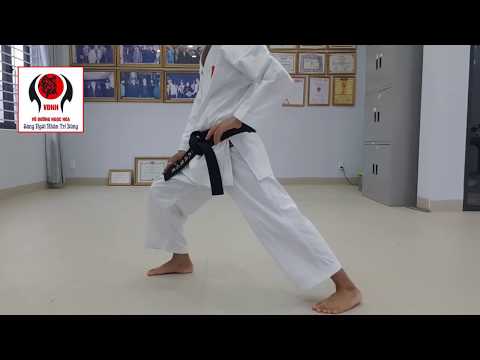 Video: Các Thế đứng Trong Karate Là Gì