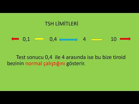TSH (Thyrotrophin-Stimulating Hormone) ( “Tiroid Bezini Uyarıcı Hormon”)