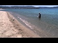 犬と海 2013