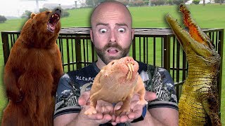 10 Most Dangerous Exotic Pets People Actually Have!