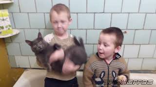 Ленинград - Экспонат (на лабутенах и в охуительных штанах) Ленинград - Экспонат (на лабутенах и в охуительных штанах)