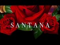 Mandragora - Santana