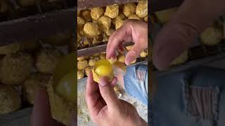 #Five Spice Preserved Eggs#Henan Soft Centered Preserved Eggs#Food#High Quality Agricultur