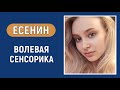 Есенин Суггестивная ЧС Волевая сенсорика Соционика Типирование по аспектам Есенин Суггестивная ЧС Волевая сенсорика Соционика Типирование по аспектам