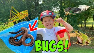 OUTSIDE BUG HUNT ADVENTURE with CALEB \& MOMMY! WE FIND A BABY FROG!