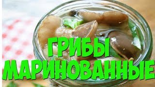 Как Мариновать ГРИБЫ Простой Рецепт Как Мариновать ГРИБЫ Простой Рецепт