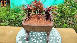 Diy cement pot making idea