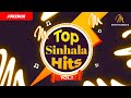         top sinhala hits   volume 01  best sinhala songs