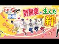 【後編】ターゲット野間の前に仕掛け人鈴木誠也がついに登場！明かされるドッキリの裏側に野間は？『野間さんと絆合宿』 【球団認定】カープ全力応援チャンネル