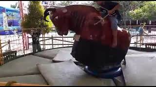 Mabok Naik Sapi Ngamuk Rodeo