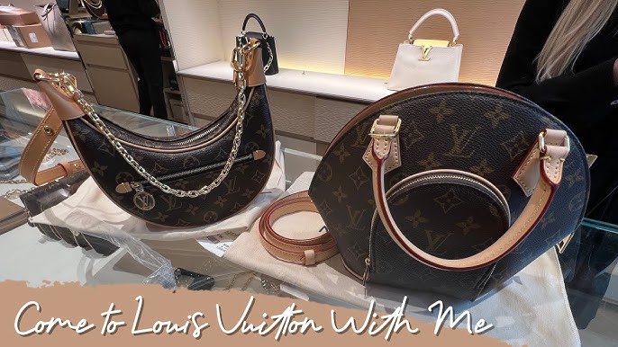 Brown Louis Vuitton Monogram Ellipse PM Handbag – Designer Revival