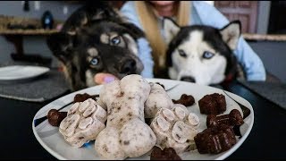 DIY Cookies N Cream Ice Cream For Dogs!