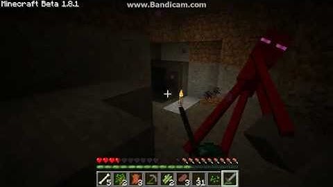 Woonitu Vs Minecraft Ep 3: The Source of All Endermen