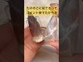 たけのこと8/3の話と山手線 #ネイル #ジェルネイル #ネイルアート #東京 #イベント #ネイルデザイン #コメント #おかば