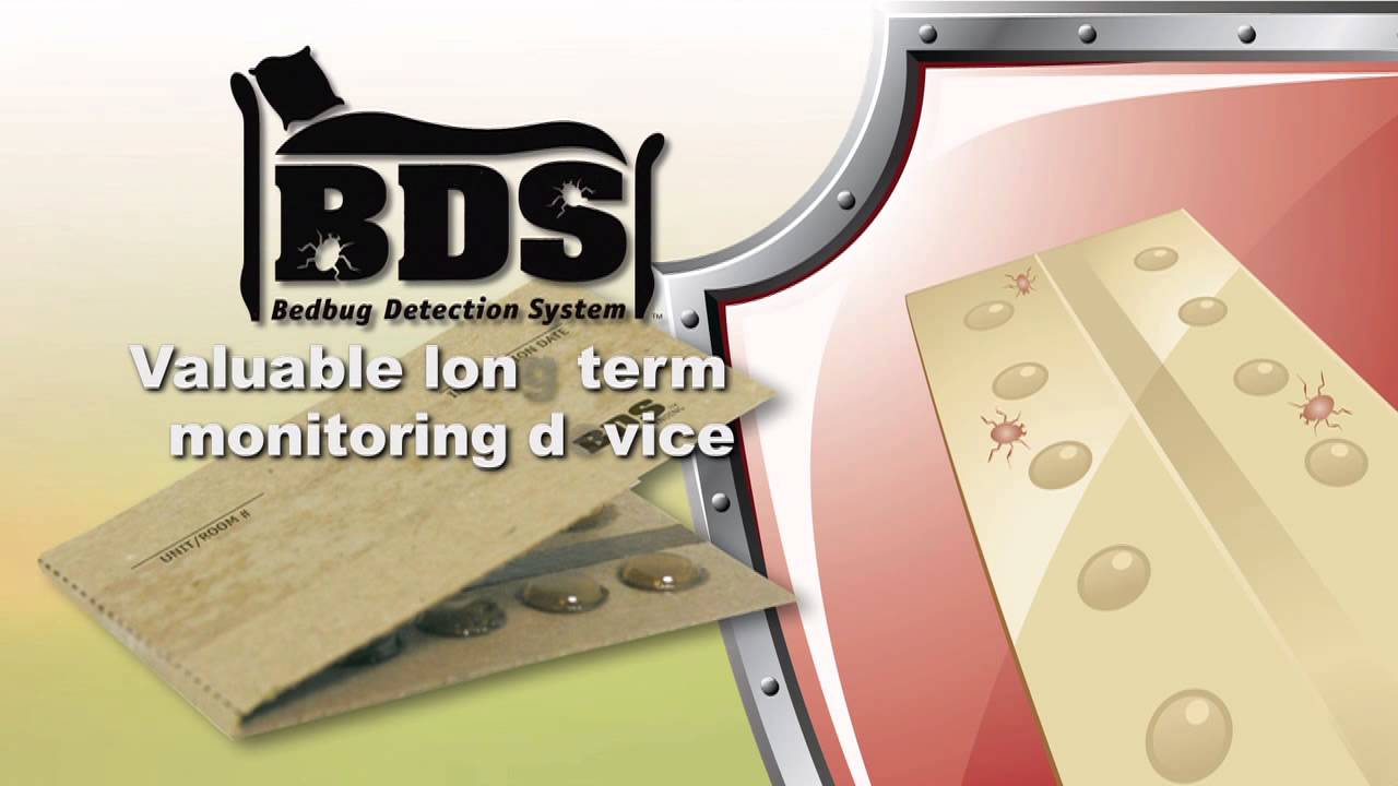 rat trap glue Catchmaster® BDS™ | Bedbug Detection System