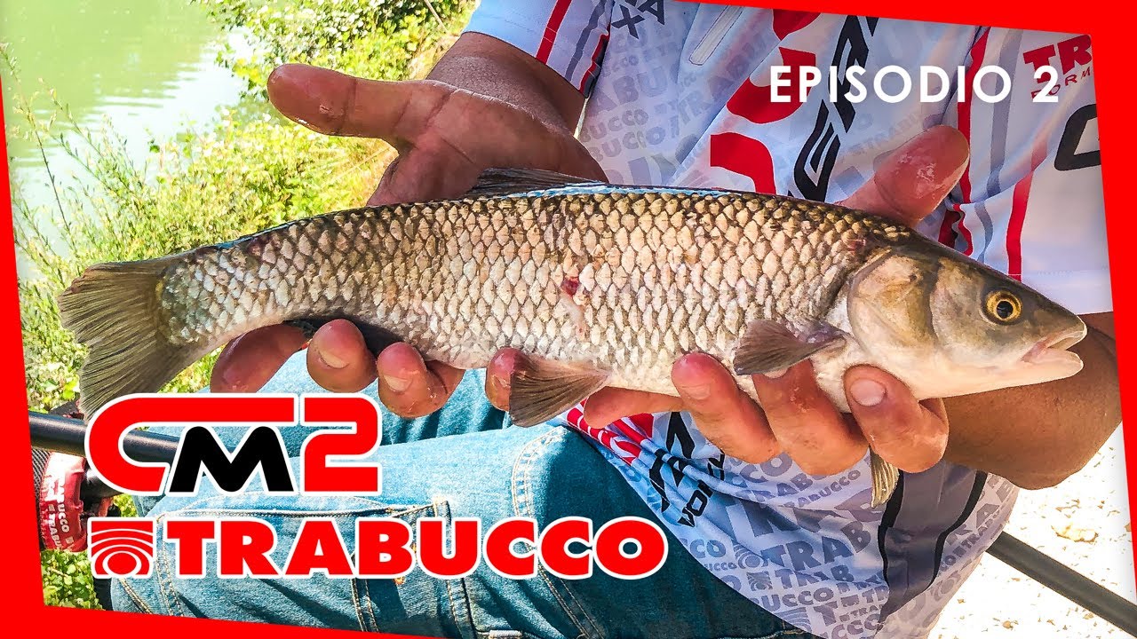 I CAVEDANI di Umbertide - ROUBASIENNE | Competition Master S2E2 | @Trabucco Fishing
