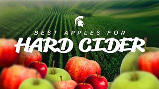 Picking the Best Apples for Michigan Hard Cider