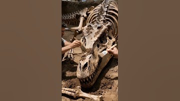 🦖 Giant Dinosaur Fossil Unearthed in Stunning Slow Motion 🌟 #aivideo #aiart #satisfying #dinosaur