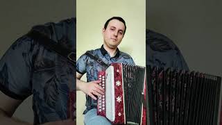 La donna è mobile — гармонь звучит неожиданно! #гармонь #accordion #instrumental #opera