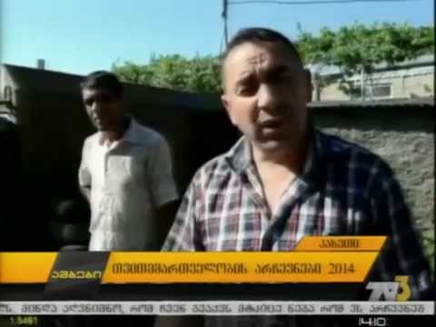 თვითმმართველობის არჩევნები 2014 - კახეთი