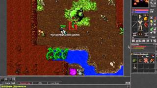 Tibia: Crocodile's Boss: The Snapper