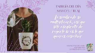Energía del día 5 Mayo: Lo sembrado se multiplicará, solo asegúrate de regar lo que quieres cosechar