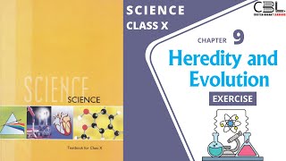 10th | SCIENCE | Chapter 9 | Heredity and Evolution | EXERCISE | NCERT