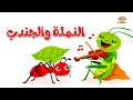 قصة النملة والجندب 