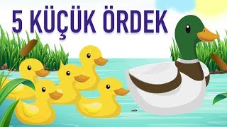 5 KÜÇÜK ÖRDEK ŞARKISI Resimi